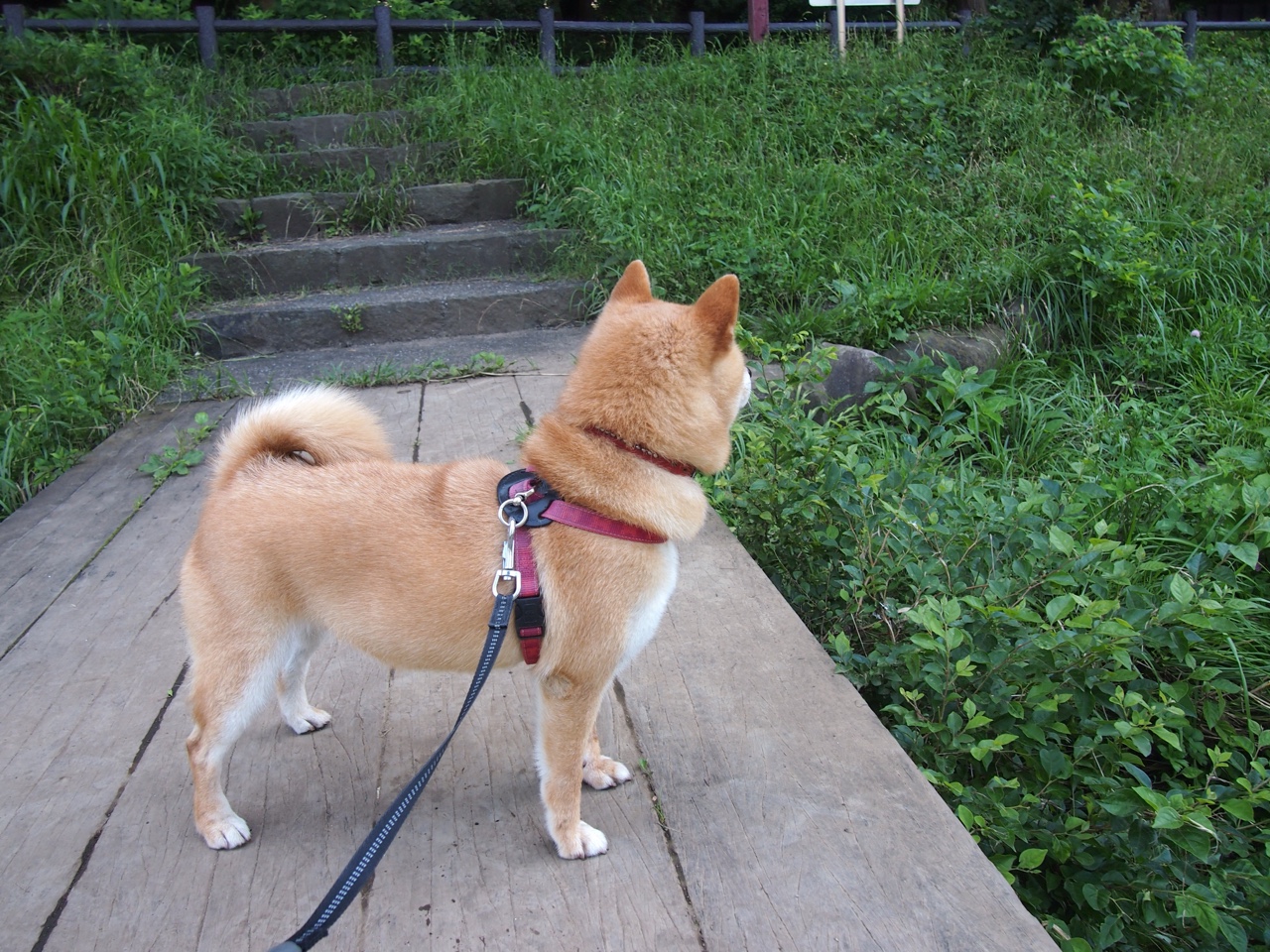 世界杯奇迹逆转:英雄时刻令人难忘!,足球世界杯最大逆转